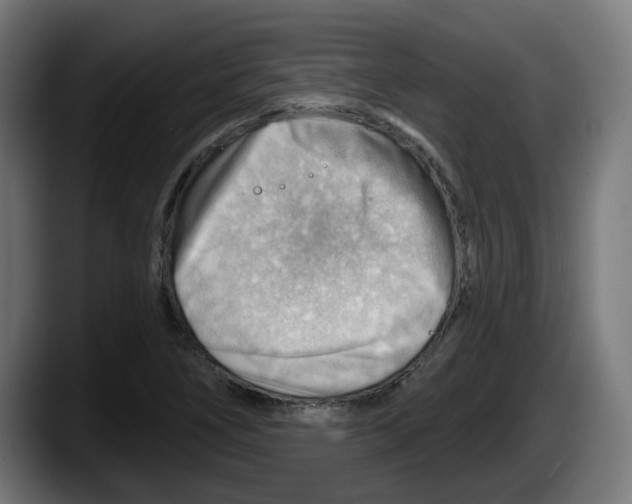 X0000087591266200705251854