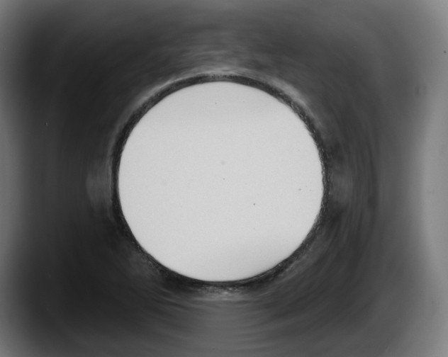 X0000087591270200705251854