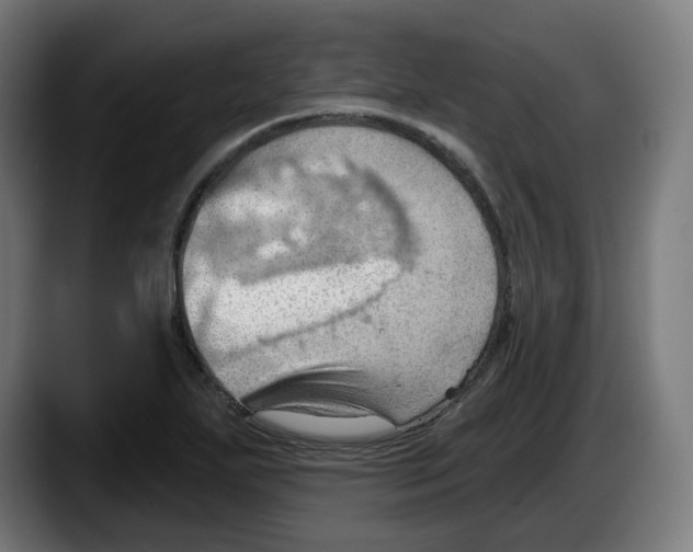 X0000087591271200705251854