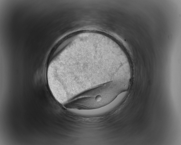 X0000087591272200705251854