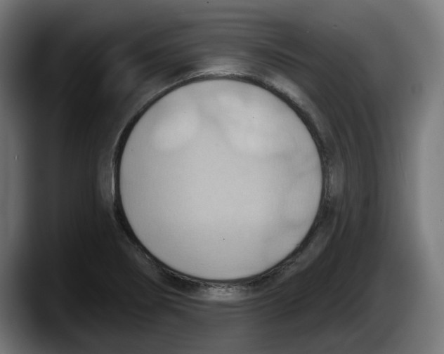 X0000087591274200705251854