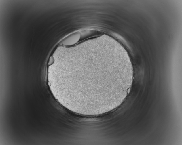 X0000087591276200705251854