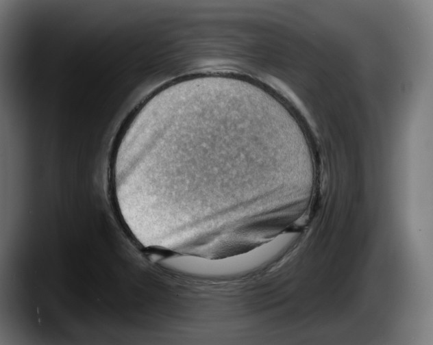 X0000087591277200705251854