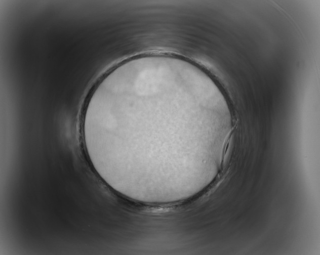 X0000087591278200705251854