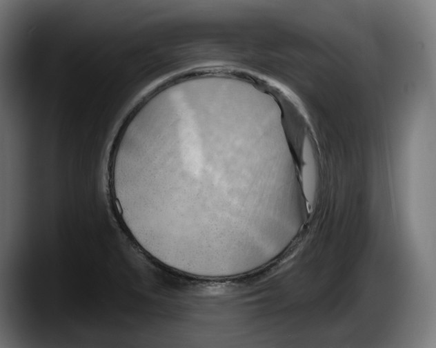 X0000087591279200705251854