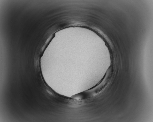 X0000087591281200705251854