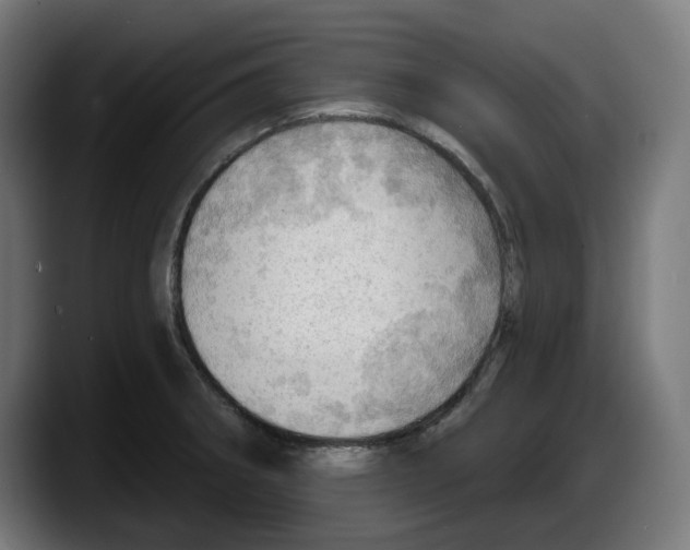 X0000087591282200705251854