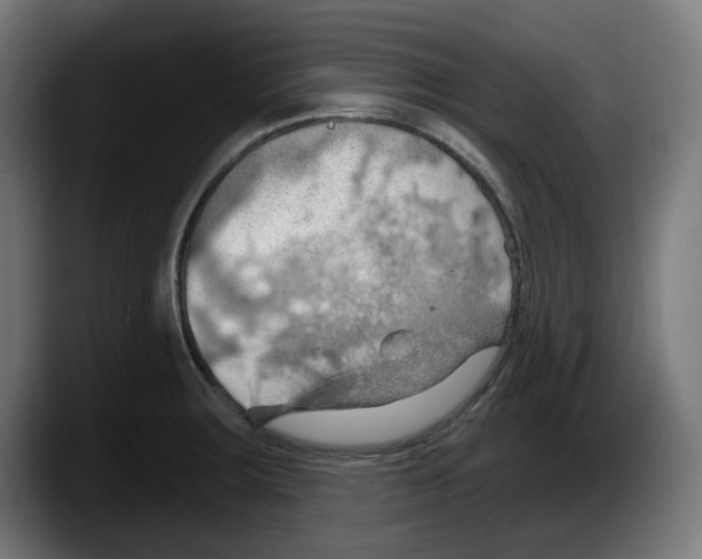 X0000087591283200705251854