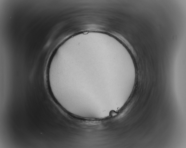 X0000087591285200705251854