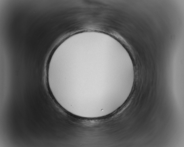 X0000087591286200705251854