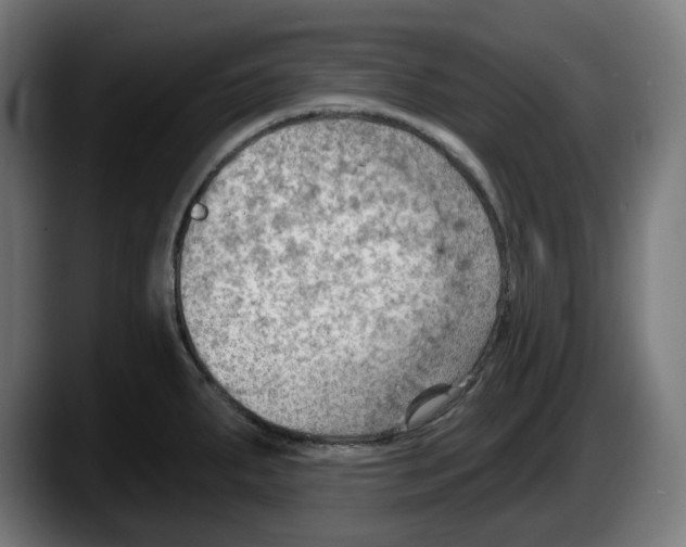 X0000087591287200705251854