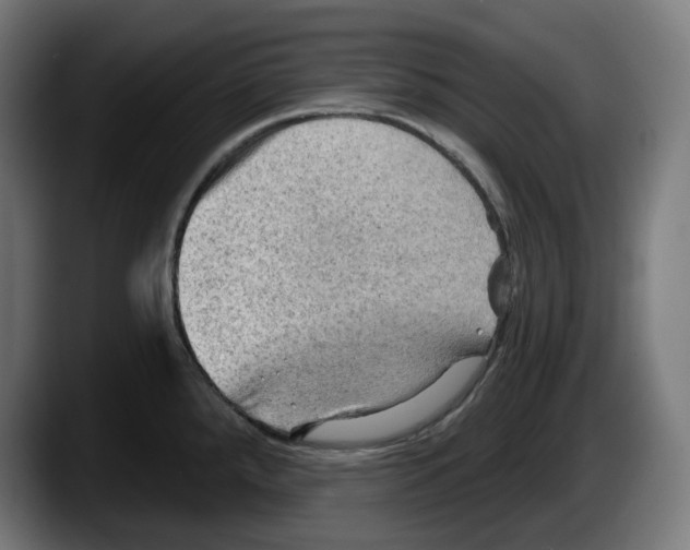 X0000087591288200705251854