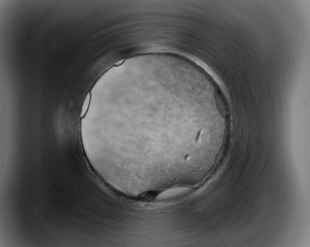 X0000087591289200705251854