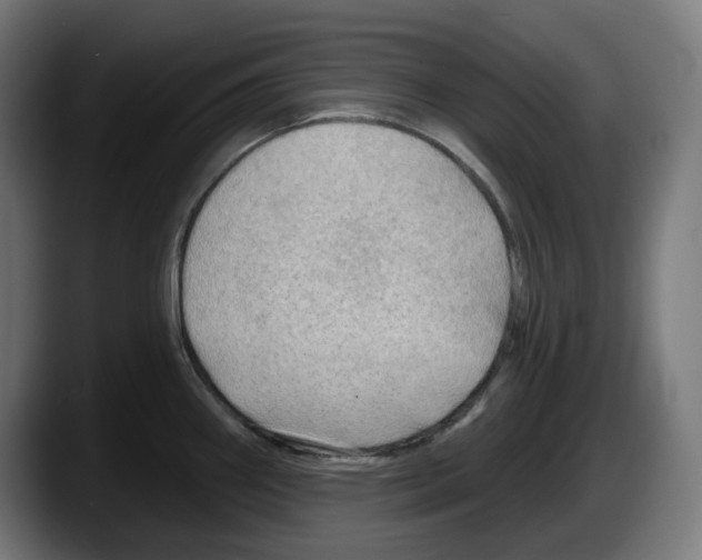 X0000087591290200705251854