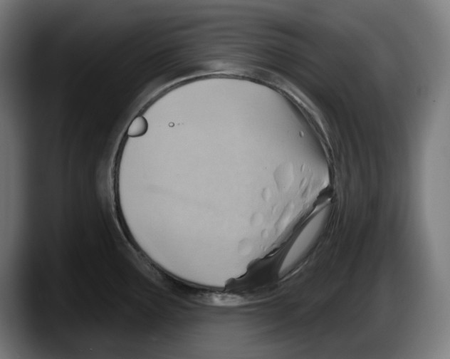 X0000087591291200705251854