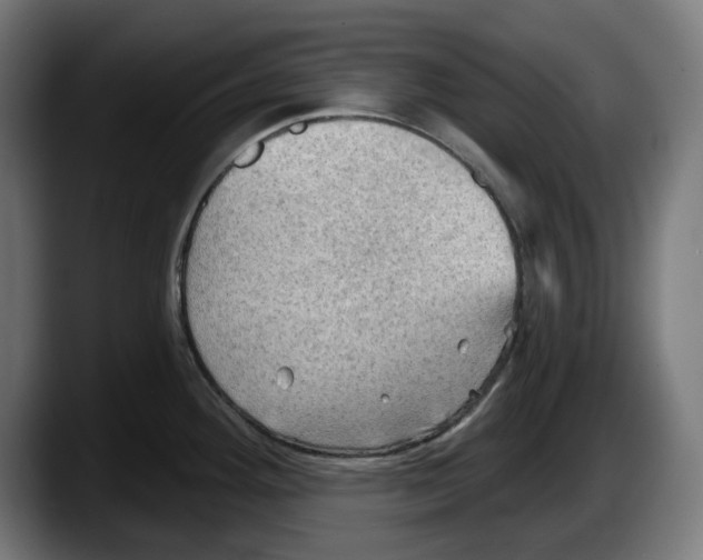 X0000087591292200705251854