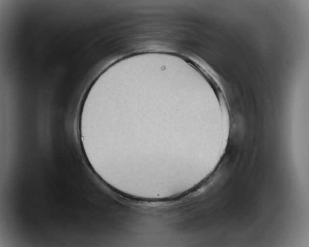 X0000087591293200705251854