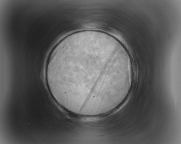 X0000087591294200705251854