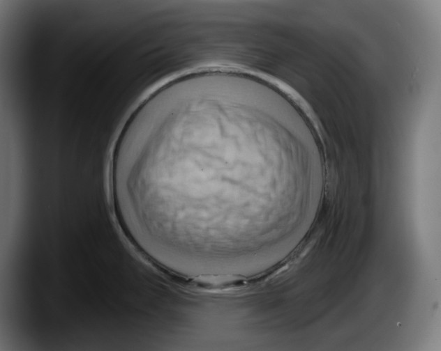 X0000087591295200705251854