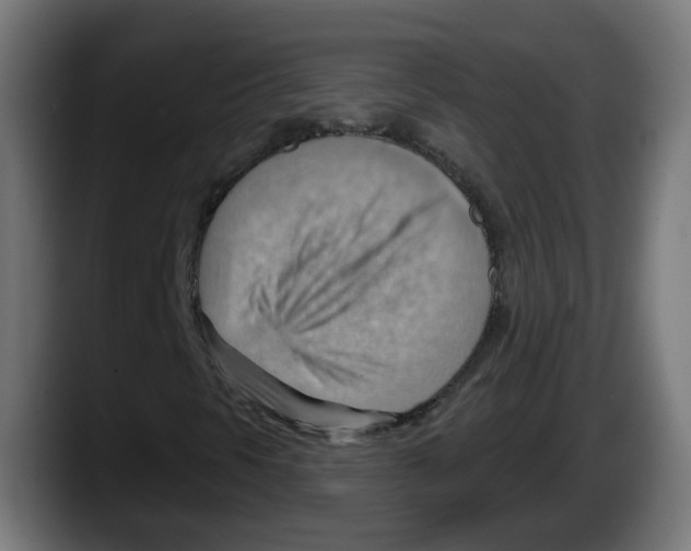 X0000087591297200705251853