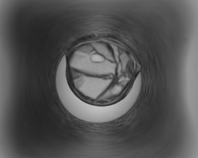 X0000087591298200705251853