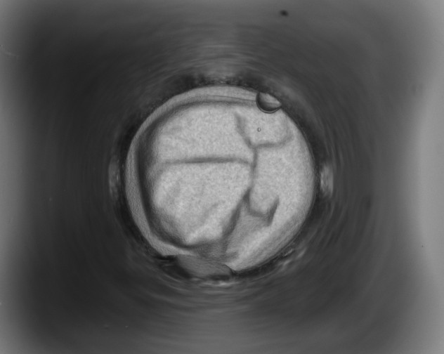 X0000087591299200705251853