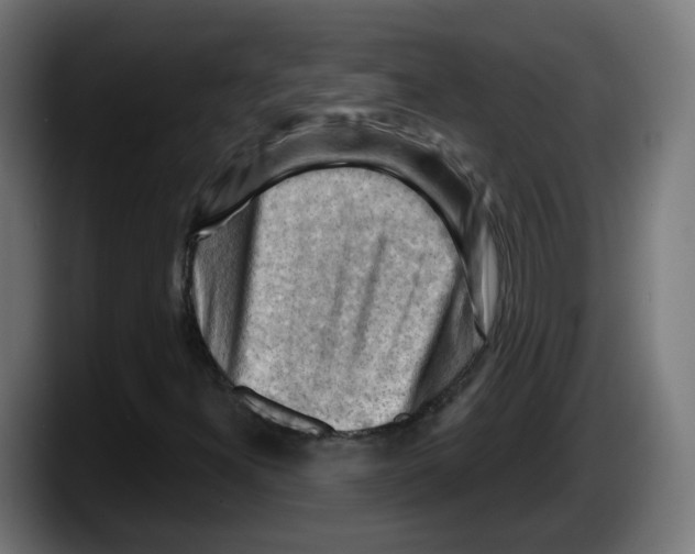 X0000087591300200705251853