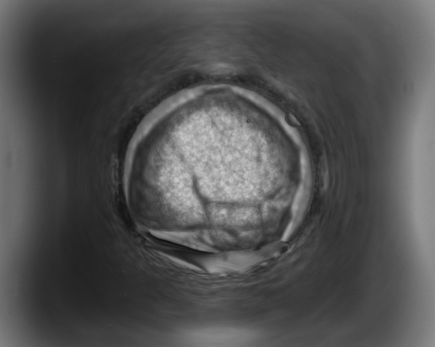 X0000087591301200705251853