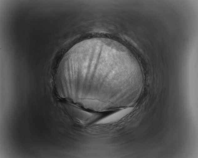 X0000087591303200705251853