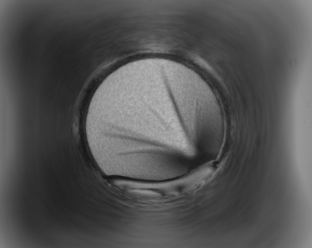 X0000087591307200705251853