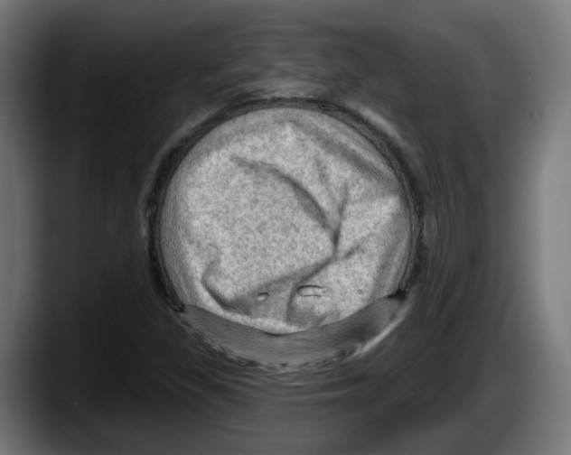 X0000087591309200705251853