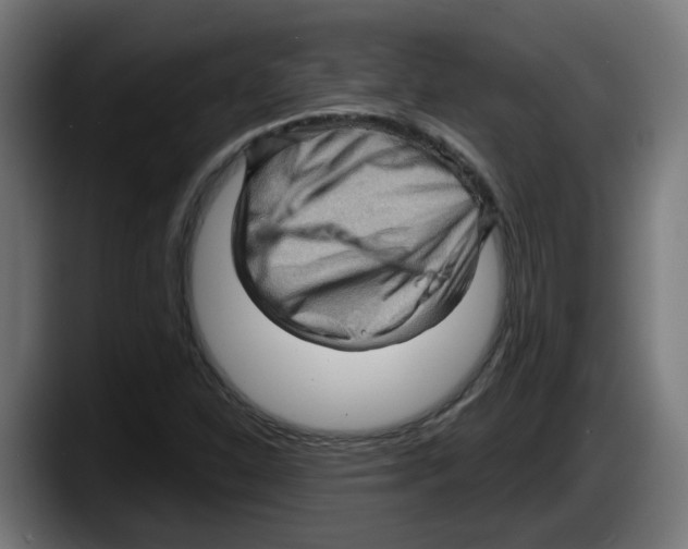 X0000087591310200705251853