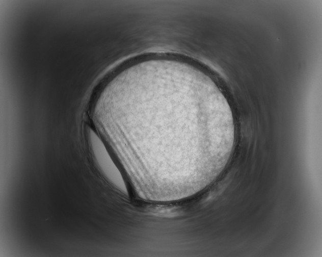 X0000087591311200705251853