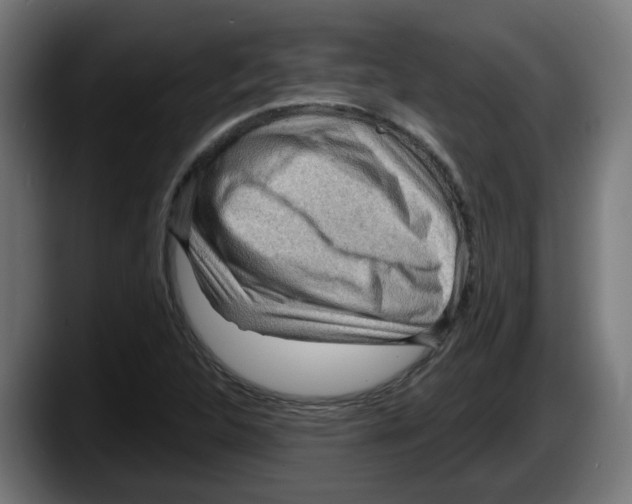 X0000087591312200705251853