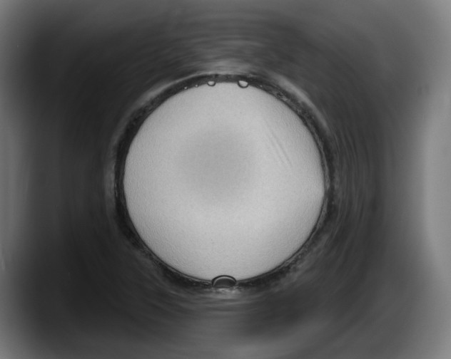 X0000087591315200705251853