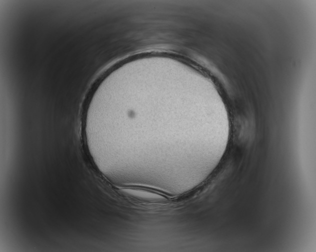 X0000087591316200705251853