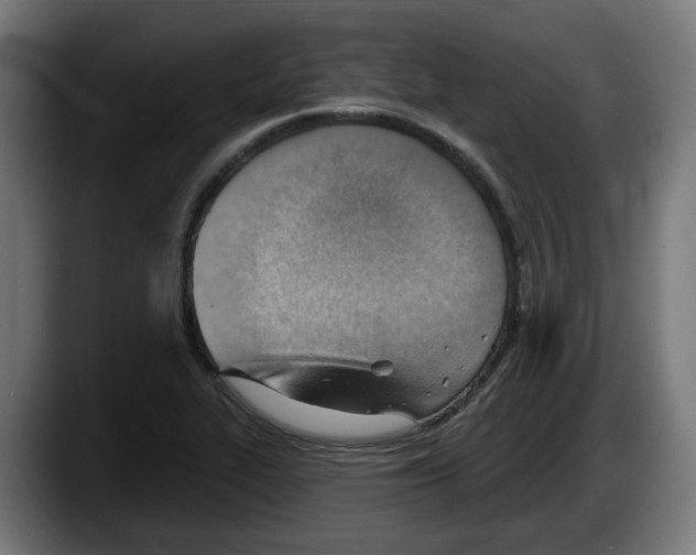 X0000087591319200705251853