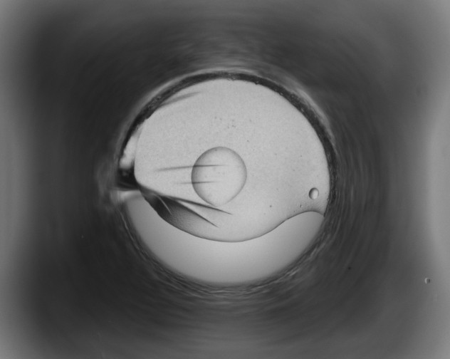 X0000087591320200705251853