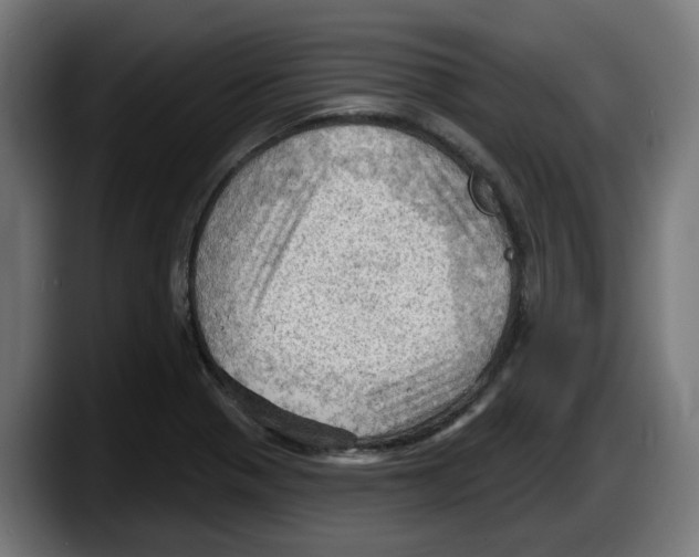 X0000087591321200705251853