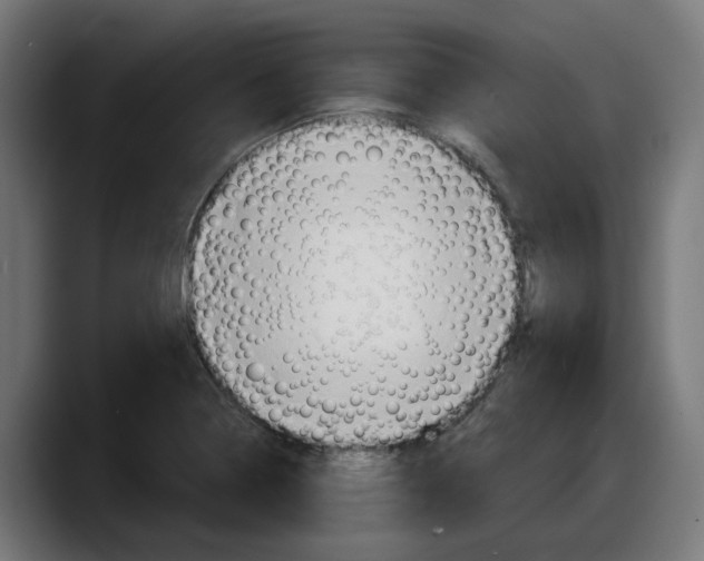 X0000087591322200705251853