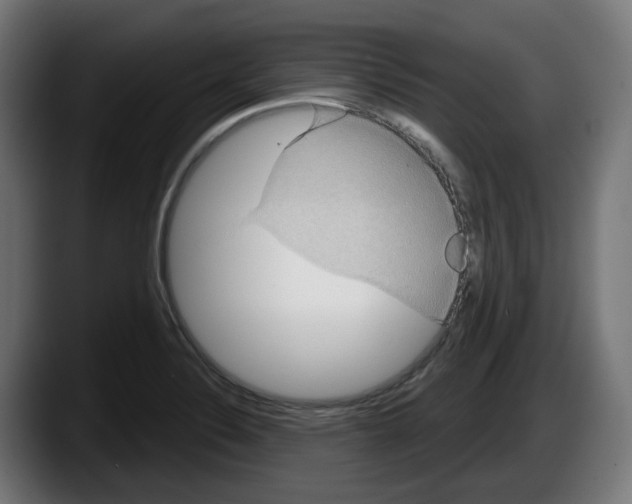 X0000087591324200705251853