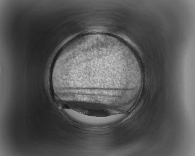 X0000087591325200705251853