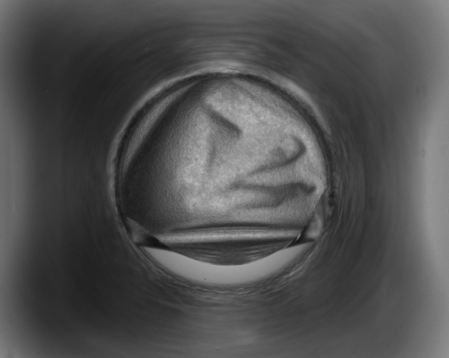 X0000087591326200705251853