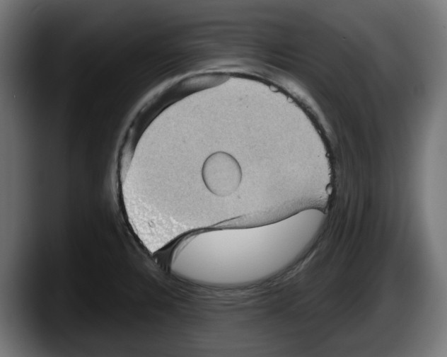 X0000087591328200705251853