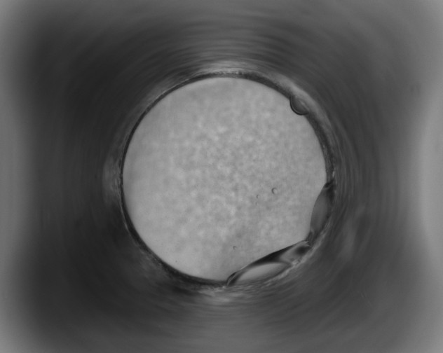 X0000087591329200705251853