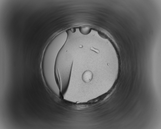 X0000087591330200705251853