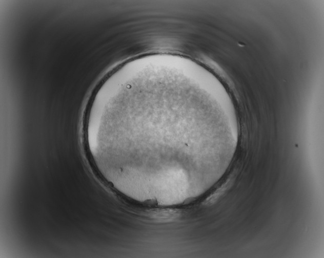 X0000087591331200705251853