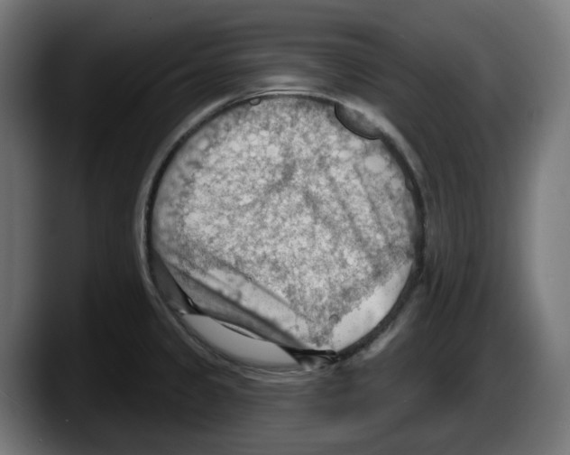 X0000087591333200705251854