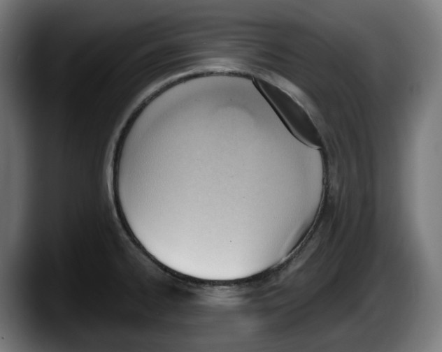 X0000087591334200705251854