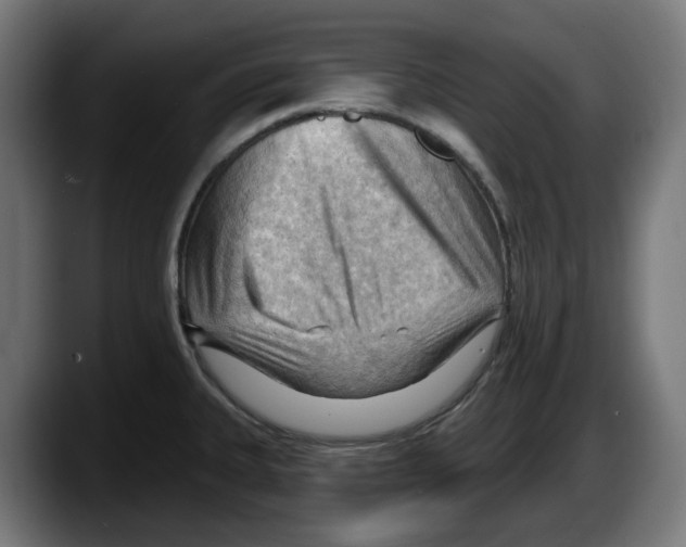 X0000087591335200705251854